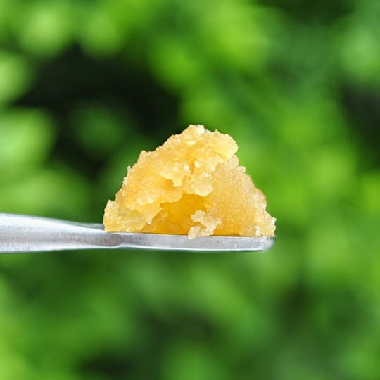 Envy - Northern Lights - Sugar - 1g - 1