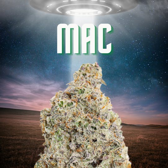 DAZE - Miracle Alien Cookies Shake (28g) Indoor - 1