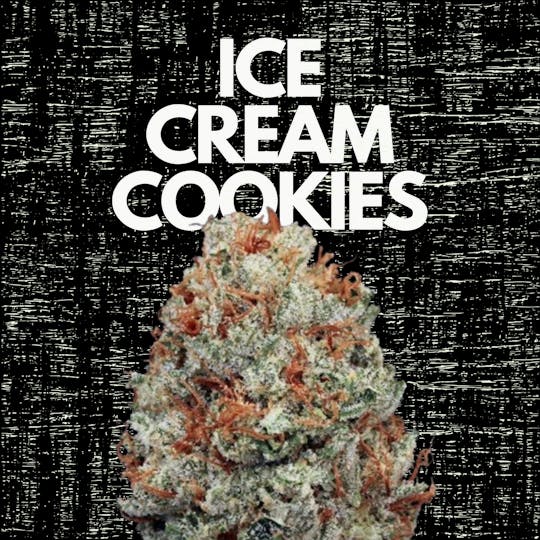 DAZE - Ice Cream Cookies (3.5g) Indoor - 1