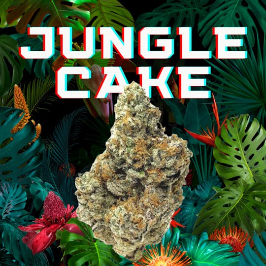 DAZE - Jungle Cake (3.5g) Indoor - 1