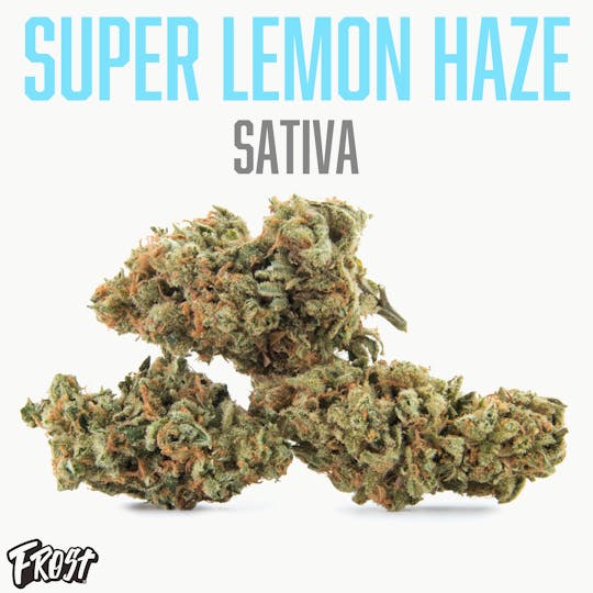 Frost - Super Lemon Haze (Sativa 26% THC) - 1