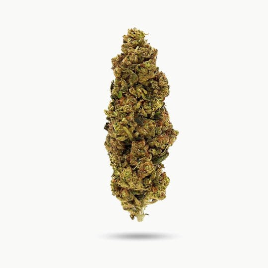 Trusty Transportations - Peanut Butter Breath 1 Gram (32% THC, HYBRID) - 1