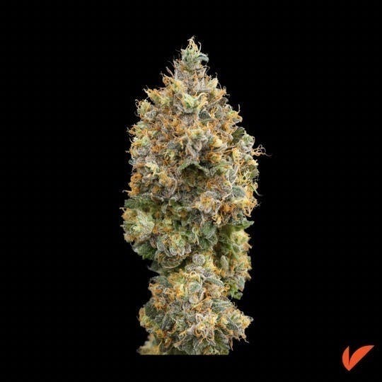 Vertical Cannabis - Galactic Grape 1G Pre-Roll - 1
