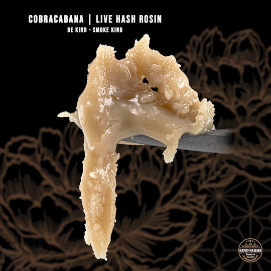 Kind Farms Reserve - Cobra Cabana Live Hash Rosin - Kind Farms Reserve - 1