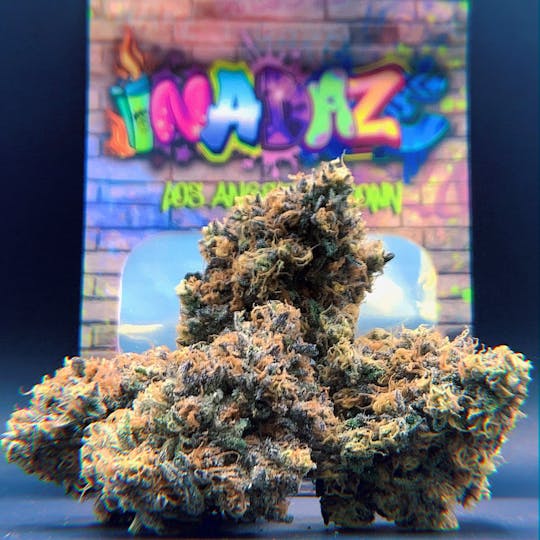 Inadaze - Inadaze | RS11 Premium 1/8 - 1