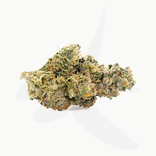 Sozo - Gelatti - 1