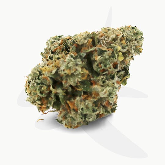 Sozo - Gello Gelato - 1