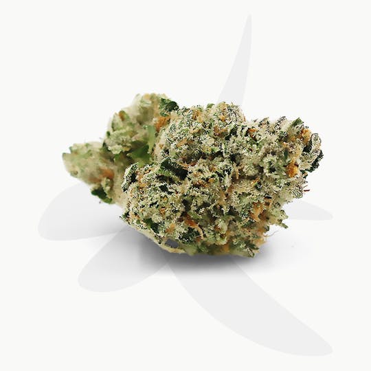 Sozo - Guava - 1