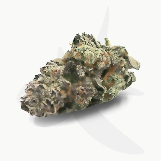 Sozo - White Truffle - 1