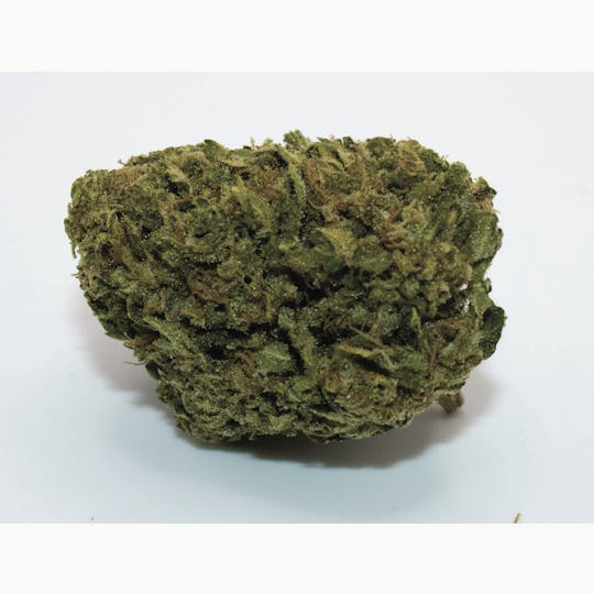 Trusty Transportations - Ruthless OG 1/2 Ounce/14 Grams (25% THC, Indica) - 1