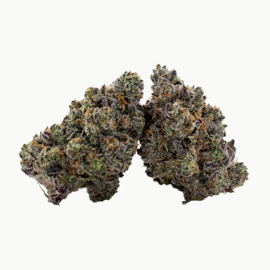 Nura - Afghan Kush - 1