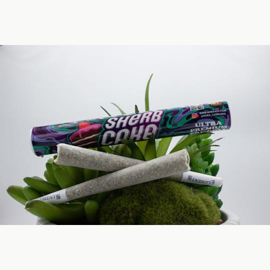 Nura - Midnight Affair/Sherb Cake - Premium Pre - Roll - 1