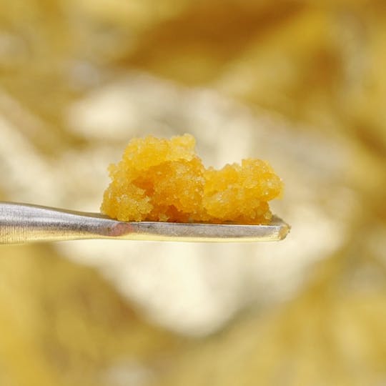 The Craft - Peyote Gorilla - Sugar - 1g - 1