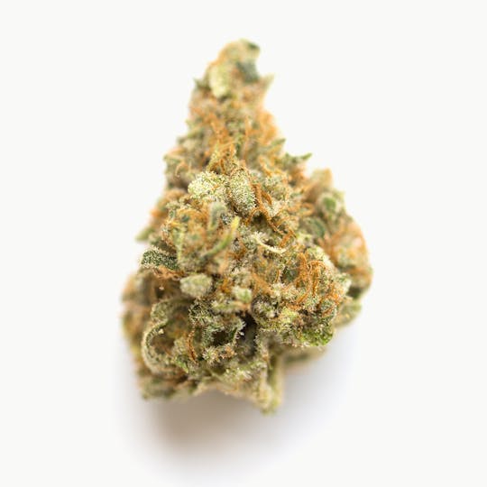 Animal - Mango Kush - Hybrid - 19.66% THC - 1