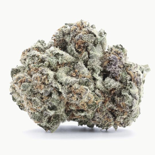 Animal - Raspberry Cough - Sativa - 21.73% THC - 1