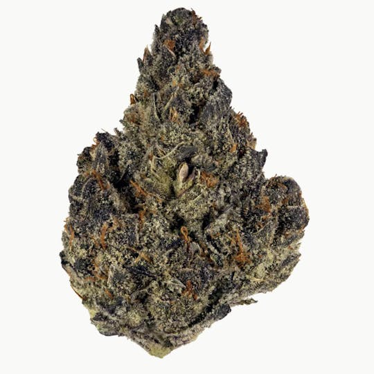 Animal - Blueberry Cookies - Hybrid - 26.81% THC - 1
