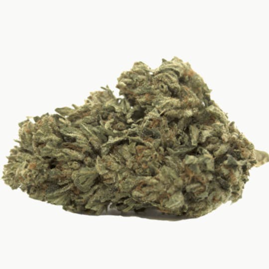 Animal - Berry Gelato - Hybrid - 26.82% THC - 1