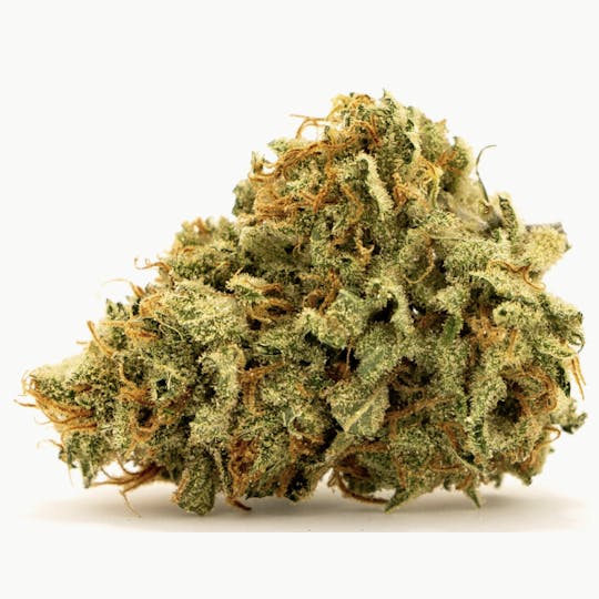 Animal - Ghost train haze - Sativa - 26.87% THC - 1