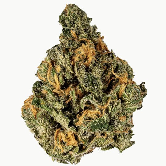 Animal - Berry Pie - Sativa - 27.84% THC - 1