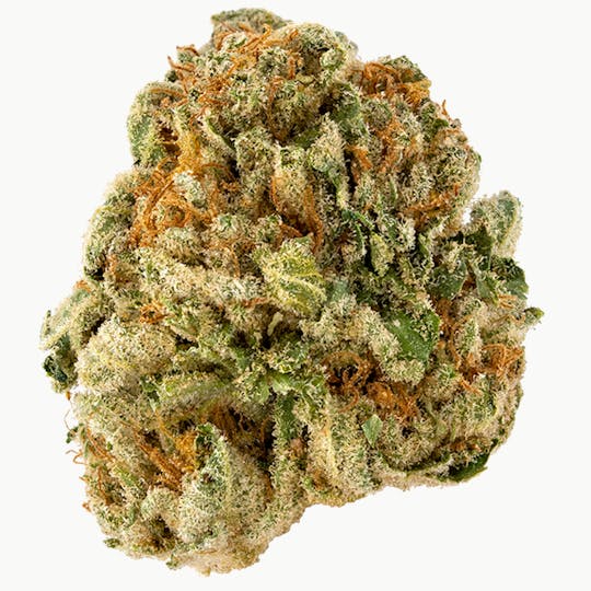 Animal - Strawberry Lemonade - Sativa - 29.88% THC - 1