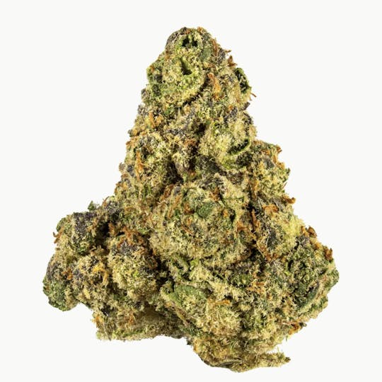 Animal - Cheetah Piss - Hybrid - 28.95% THC - 1