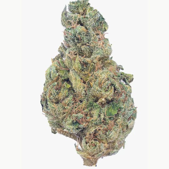 Animal - Ancient OG - Indica - 30.95% THC - 1
