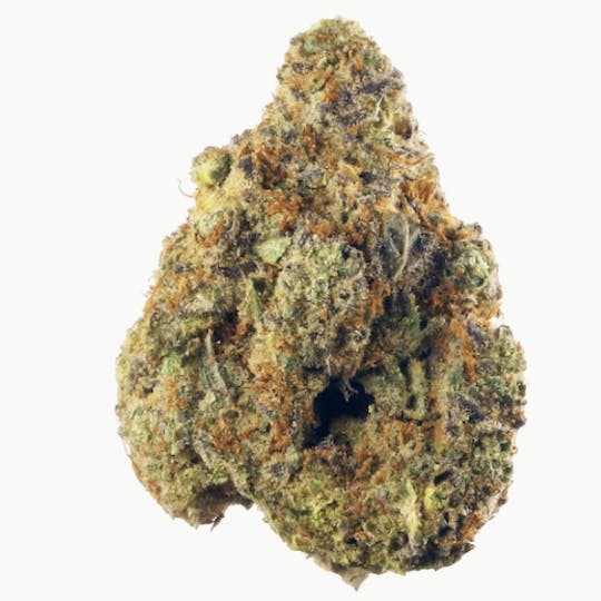 Animal - Lemon Zest - Sativa - 30.98% THC - 1