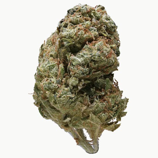 Animal - Sweet Diesel - Sativa - 30.97% THC - 1