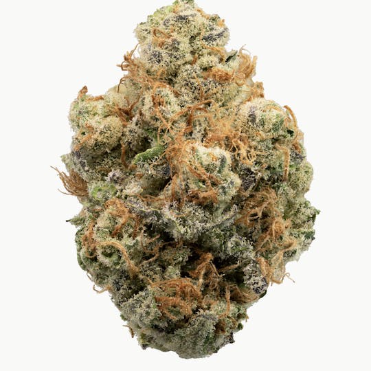 Animal - White Runtz - Hybrid - 38% THC - 1