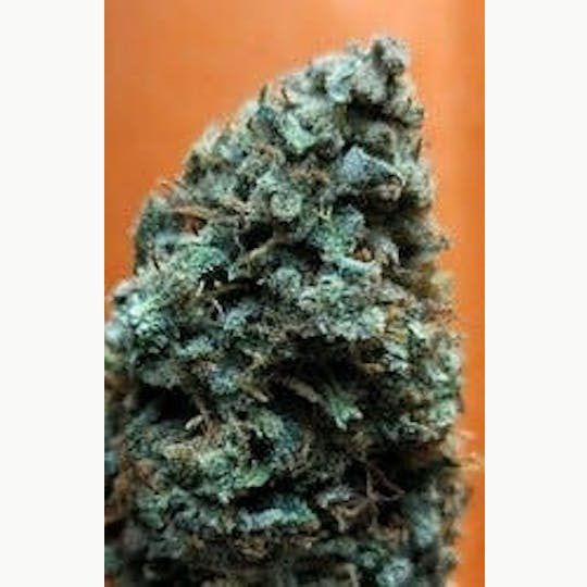 Daedalus Craft Cannabis - $100 Ounce of the Day - KiX (aka Thai Sour #4) - 1