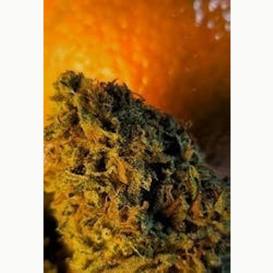 Daedalus Craft Cannabis - $100 Ounce of the Day - Tangie x Chem - 1