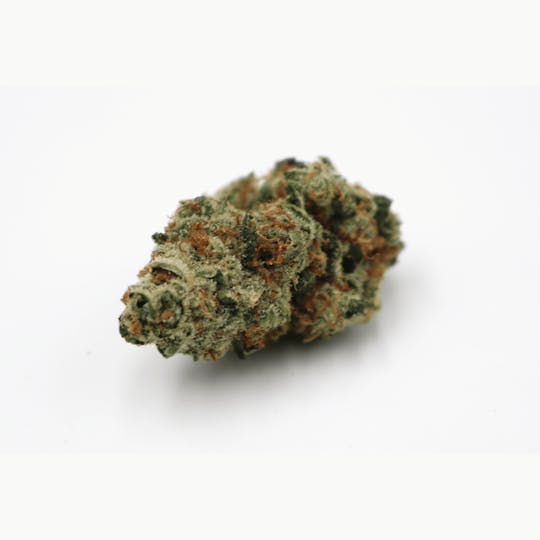 Crux Cannabis - Grease Bucket Flower - 1