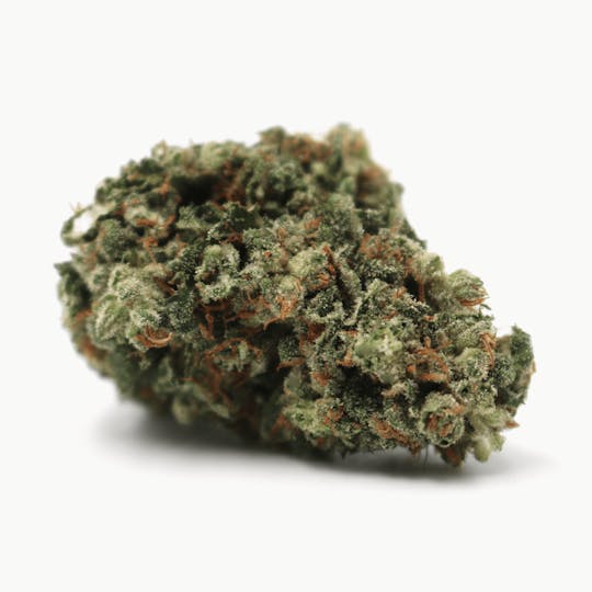 Crux Cannabis - Turbo Diesel Flower - 1