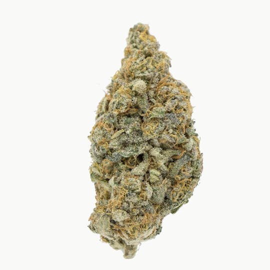 Vice Cannabis - Lemoncello (Lemonade x Cherry Pie): Flower *** SEEDS *** - 1