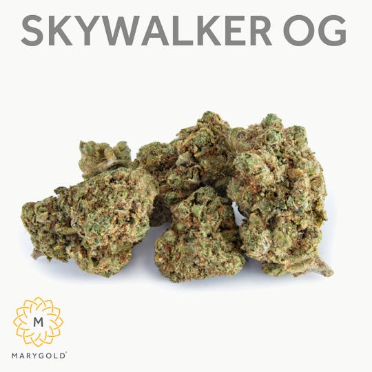 Marygold - Skywalker OG (28% THC Indica) - 1