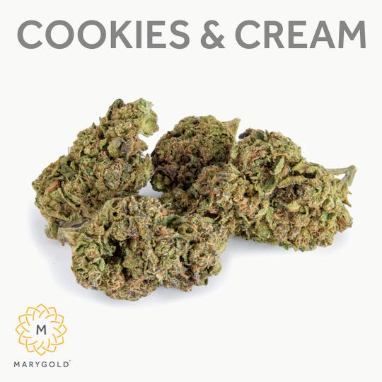Marygold - Cookies and Cream (30% THC Hybrid) - 1
