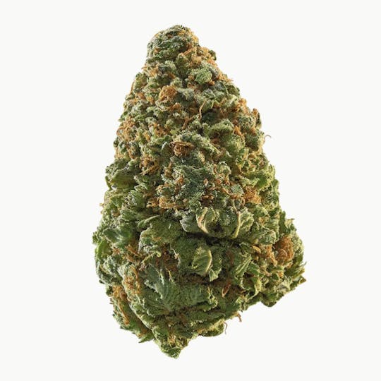 Animal - Caramel Apple Gelato - Hybrid - 30% THC - 1