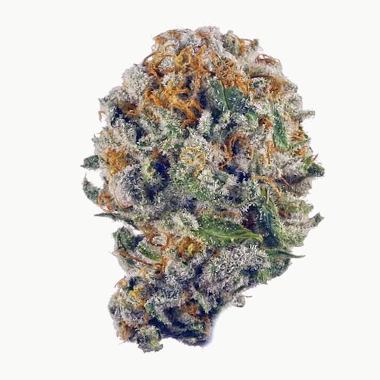 Animal - Blueberry Muffin - Hybrid - 35% THC - 1