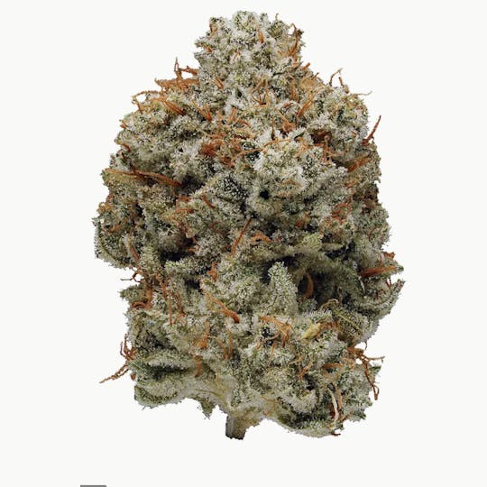 Animal - Grape GG - Hybrid - 36% THC - 1