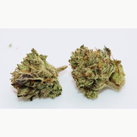 Trusty Transportations - Slurty 8th/3.5 grams (32% THC, Indica) - 1
