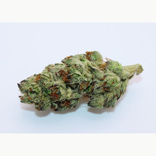 Trusty Transportations - Pink Cookies 8th/3.5 Grams (25% THC, HYBRID) - 1