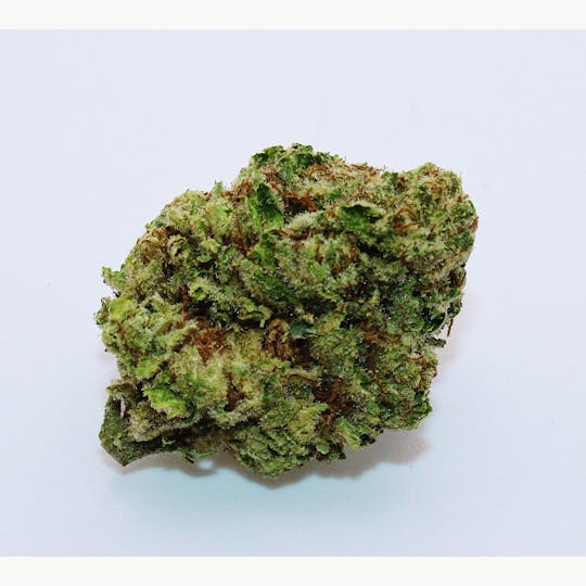 Trusty Transportations - Jealousy 8th/3.5 Grams (32% THC, Hybrid) - 1