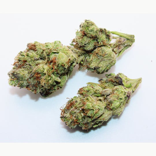 Trusty Transportations - Gush Mints 1/2 Ounce/14 Grams (30% THC, Hybrid) - 1