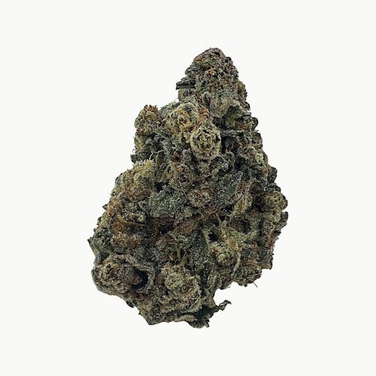 Indico - Sundae Driver - Leb City - 1