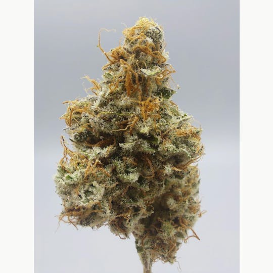 Ripple Wellness - Flower - Tier 1 - Loose Lucy #8 - 1