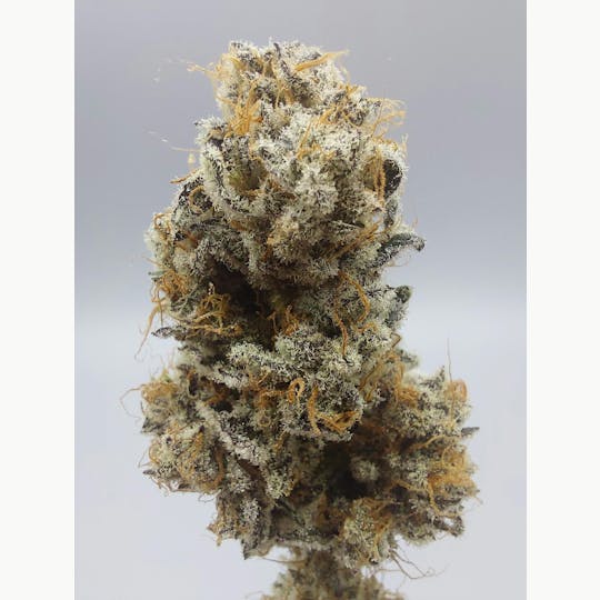 Ripple Wellness - Flower - Tier 1 - Dumpsta Funk #10 - 1