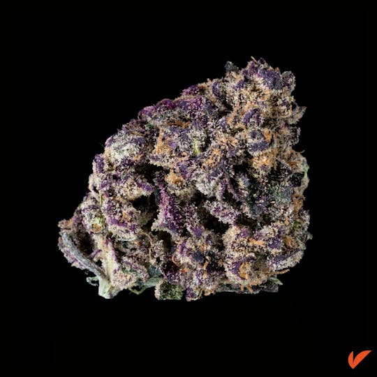 Vertical Cannabis - Apples and Bananas - 1