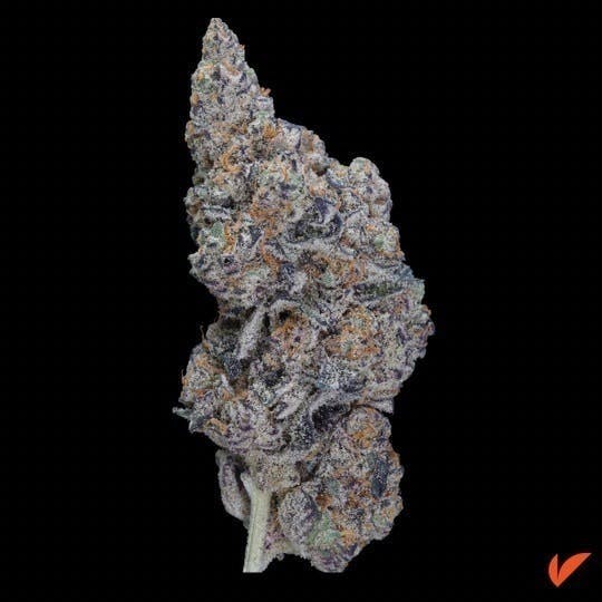 Vertical Cannabis - Auraz - 1