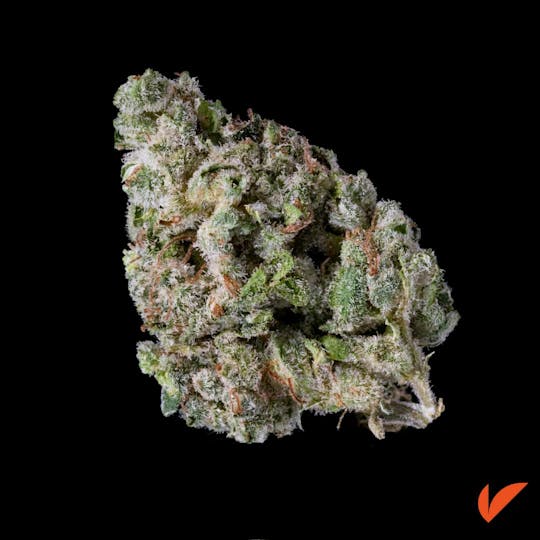 Vertical Cannabis - EXOTIC² - 1