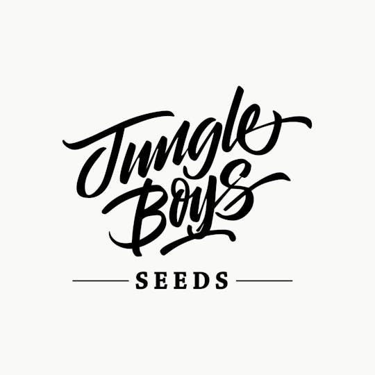 Jungle Boys - Jungle Boys | Zkittlez - 10ct Seeds - 1
